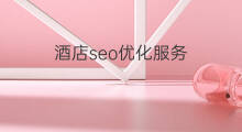 酒店seo优化服务 福州优化seo服务