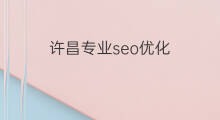 许昌专业seo优化 许昌实力seo优化