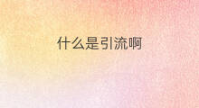 什么是引流啊 啥是引流啊