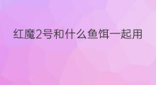 红魔2号和什么鱼饵一起用 2号水管和大管能一起用吗