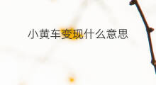 小黄车变现什么意思 抖音挂小黄车怎么变现金
