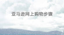 亚马逊网上购物步骤 网上购物商品怎么付费