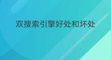 双搜索引擎好处和坏处 双搜索引擎好处是什么