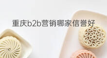 重庆b2b营销哪家信誉好 陕西b2b营销哪家信誉好