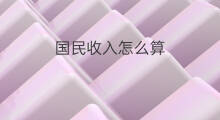 国民收入怎么算 营业收入怎么算