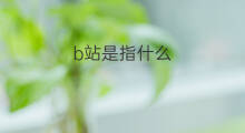 b站是指什么 b站号指什么