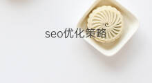 seo优化策略 seo优化策略seo顾问