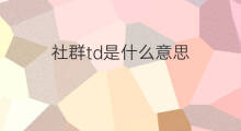 社群td是什么意思 什么是快手TD