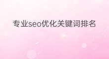 专业seo优化关键词排名 专业关键词seo优化