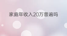 家庭年收入20万普遍吗 家庭年收入怎么填写