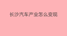 长沙汽车产业怎么变现 长沙跨境电商有什么产业