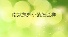 南京东郊小镇怎么样 南京东方爱婴怎么样