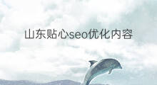 山东贴心seo优化内容 山东seo优化