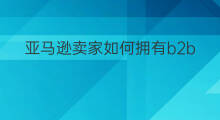 亚马逊卖家如何拥有b2b 亚马逊b2b如何上传产品