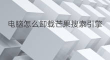 电脑怎么卸载芒果搜索引擎 电脑如何设计搜索引擎