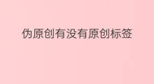 伪原创有没有原创标签 快手有没有原创标签功能