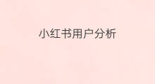 小红书用户分析 小红书用户群体