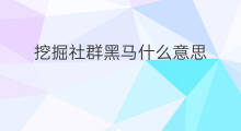 挖掘社群黑马什么意思 快手评论黑马什么意思