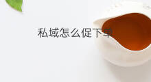 私域怎么促下单 公域_私域区别