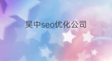 吴中seo优化公司 吴中seo优化有哪些