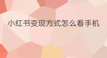 小红书变现方式怎么看手机 小红书怎么推广变现方式