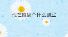 现在能搞个什么副业 搞个什么副业