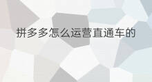 拼多多怎么运营直通车的 拼多多新店运营技巧直通车 拼多多怎么运营直通车的 拼多多新店运营技巧直通车