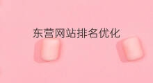 东营网站排名优化 东营网站优化排名