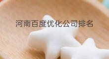 河南百度优化公司排名 河南百度优化排名