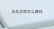 京东店群怎么赚钱 京东店群真假