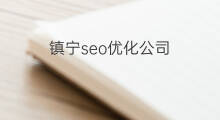 镇宁seo优化公司 seo前端优化seo公司