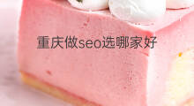 重庆做seo选哪家好 重庆放心seo哪家好