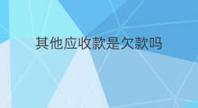 其他应收款是欠款吗 应收材料款是欠款吗