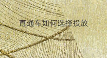 直通车如何选择投放 直通车如何投放新品类