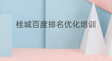 桂城百度排名优化培训 桂城百度排名优化团队