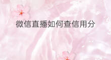 微信直播如何查信用分 快手怎么查微信用户