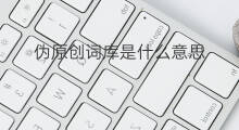 伪原创词库是什么意思 seo的词库什么意思