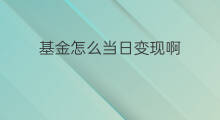 基金怎么当日变现啊 基金持有金额怎么变现