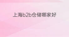 上海b2b仓储哪家好 普陀区b2b仓储哪家好