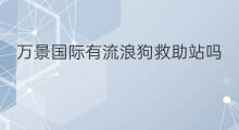 万景国际有流浪狗救助站吗 万景国际加油站怎么样啊