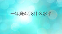 一年赚4万8什么水平 一年赚340万算什么水平