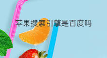 苹果搜索引擎是百度吗 百度是搜索引擎吗