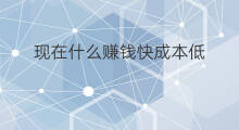 现在什么赚钱快成本低 投资什么成本低