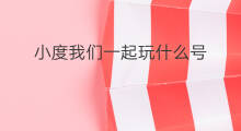 小度我们一起玩什么号 我们一起去上海吧用什么号