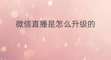 微信直播是怎么升级的 微信直播里怎么升级