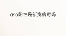 aso阳性是新宽病毒吗 aso和rf是阳性吗