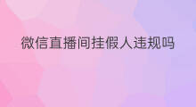 微信直播间挂假人违规吗 微信直播挂产品违规吗
