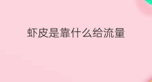 虾皮是靠什么给流量 快手根据什么给流量