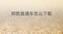 郑欧直通车怎么下载 客户直通车怎么下载