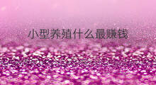 小型养殖什么最赚钱 搞养殖什么最赚钱
